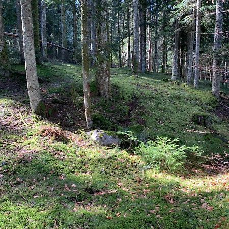 Gite " Oree Des Bois" Vertolaye Exteriör bild