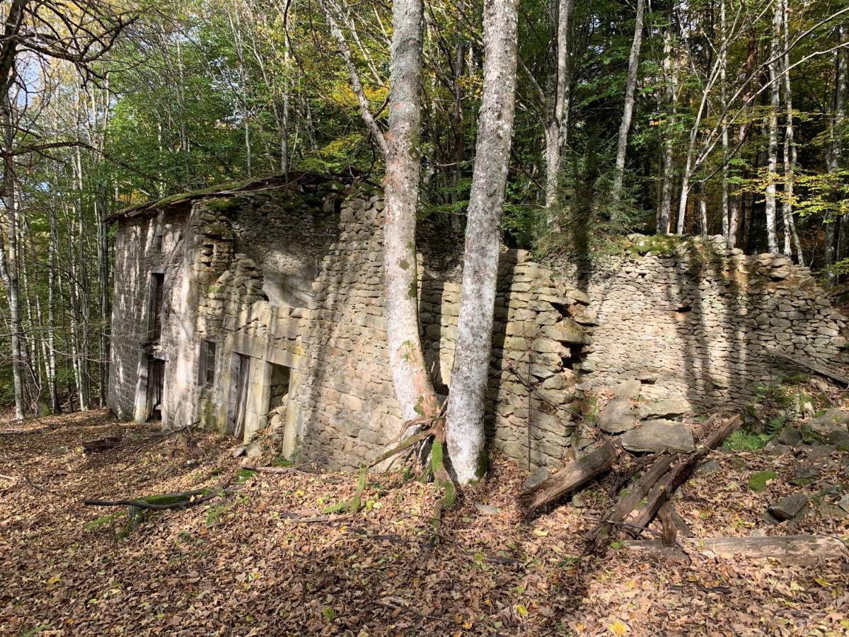 Gite " Oree Des Bois" Vertolaye Exteriör bild