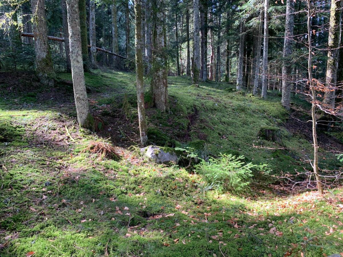 Gite " Oree Des Bois" Vertolaye Exteriör bild