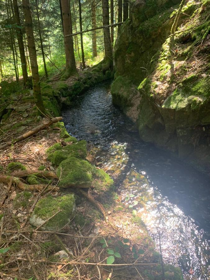 Gite " Oree Des Bois" Vertolaye Exteriör bild