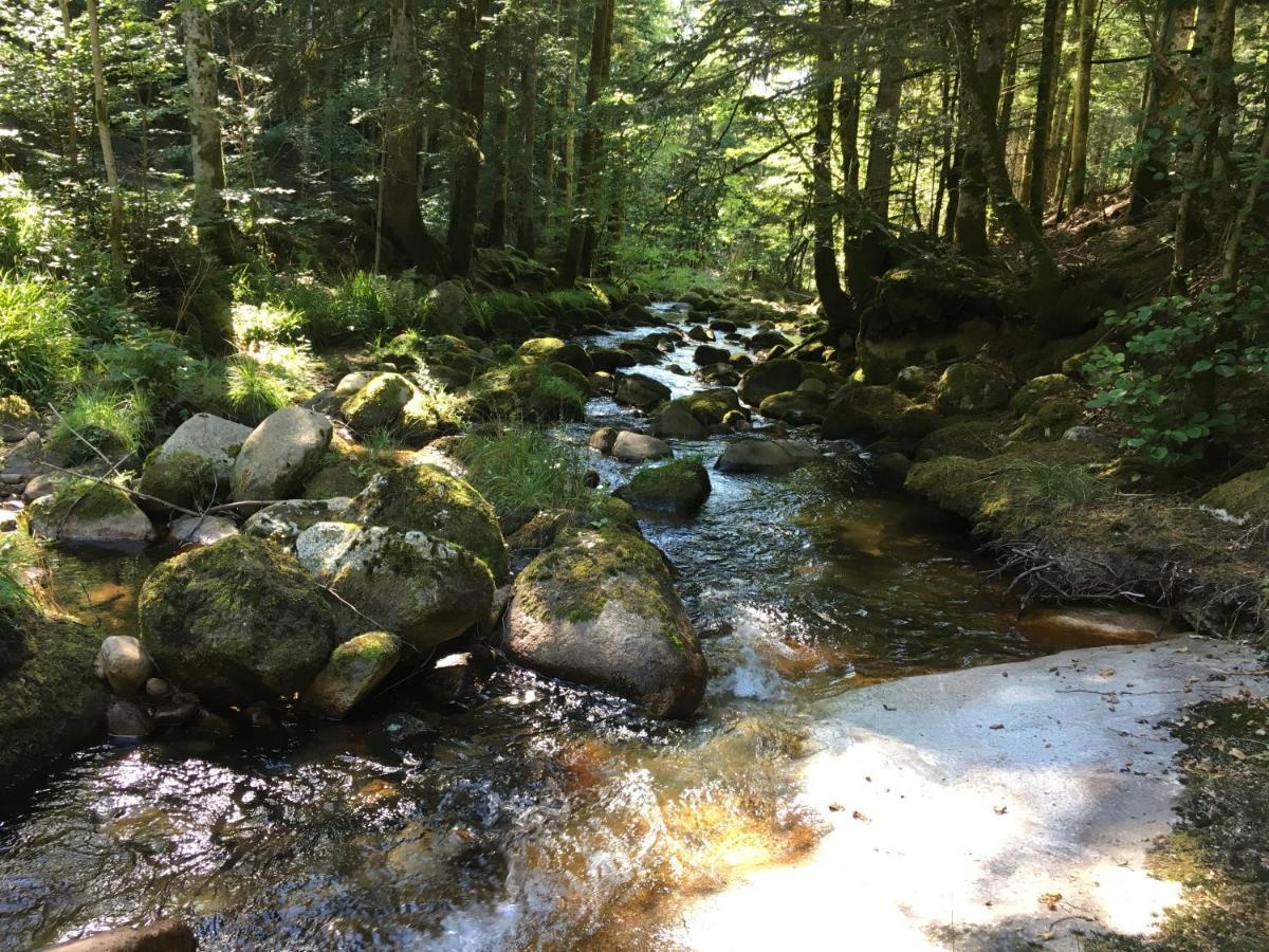 Gite " Oree Des Bois" Vertolaye Exteriör bild