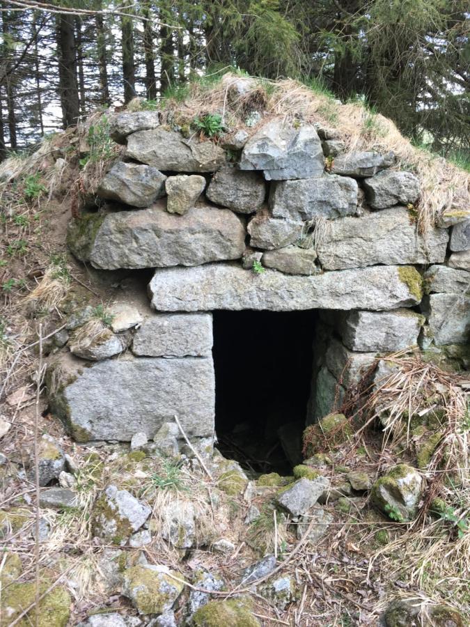 Gite " Oree Des Bois" Vertolaye Exteriör bild