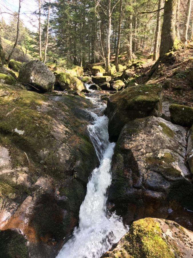 Gite " Oree Des Bois" Vertolaye Exteriör bild