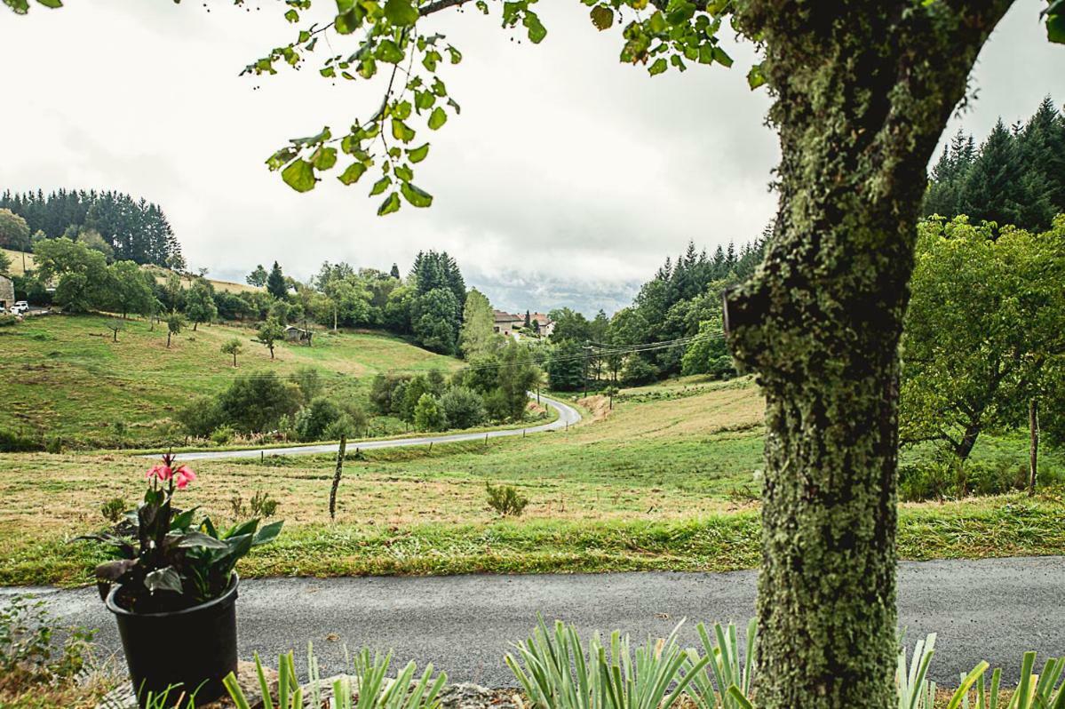 Gite " Oree Des Bois" Vertolaye Exteriör bild